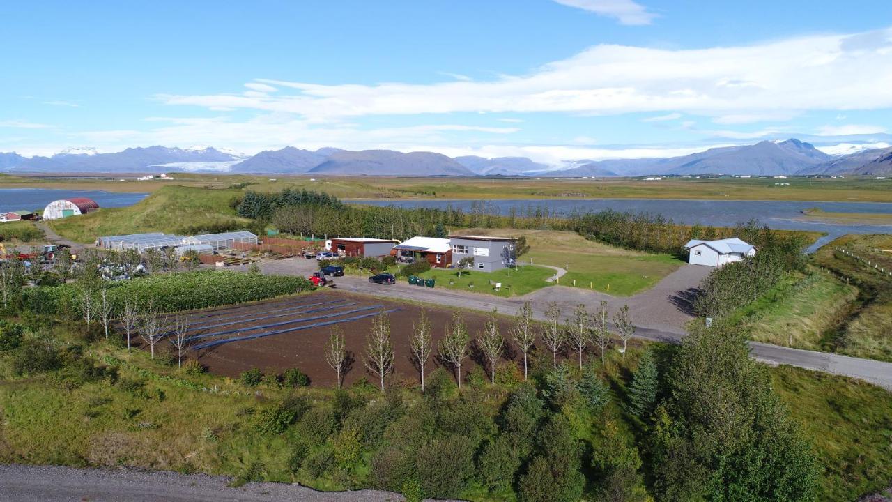 Dilksnes Guesthouse Höfn Exteriér fotografie