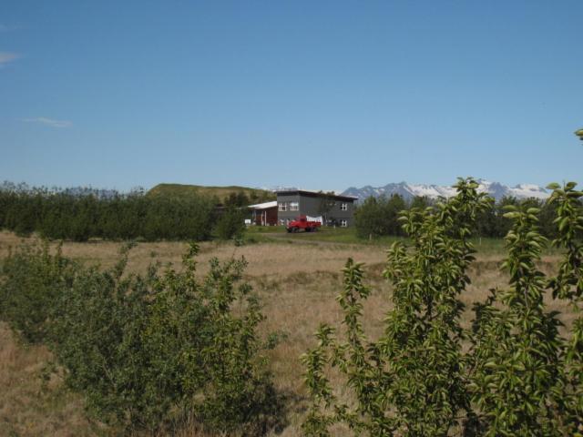 Dilksnes Guesthouse Höfn Exteriér fotografie