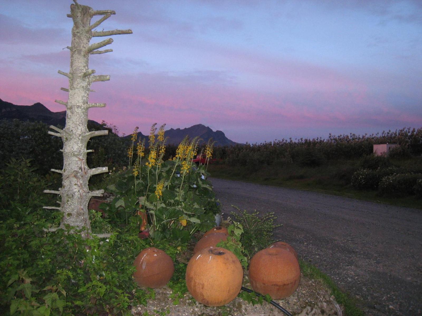 Dilksnes Guesthouse Höfn Exteriér fotografie