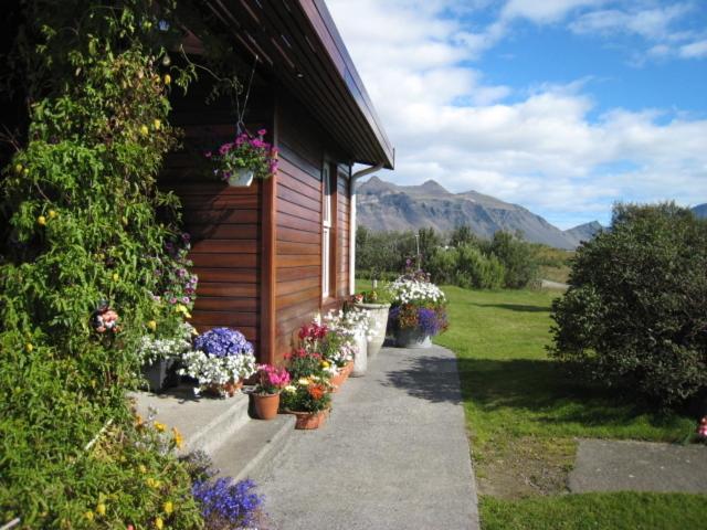 Dilksnes Guesthouse Höfn Exteriér fotografie
